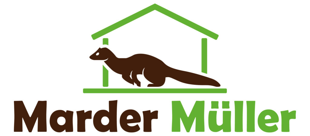 Marder Vergrämung Mardervertreibung